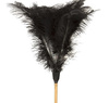 Feather Duster - Wooden Handle - Medium - 900mm