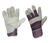 Candy Stripe Leather Gloves - Size 10 / L