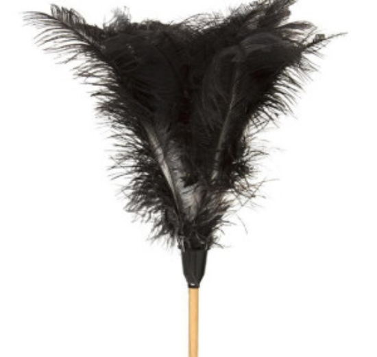 Picture of Feather Duster - Wooden Handle - Short - 460mm