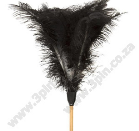 Picture of Feather Duster - Wooden Handle - Long - 1,840mm