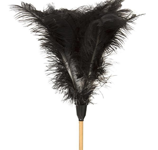 Picture of Feather Duster - Wooden Handle - Long - 1,840mm