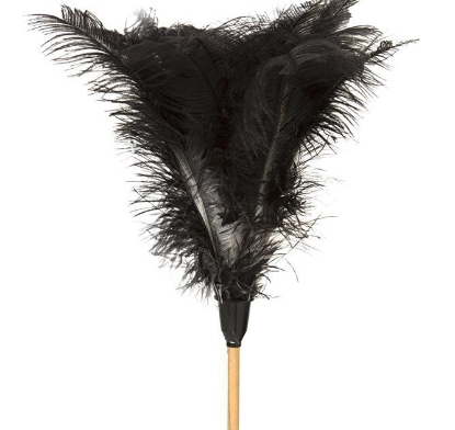 Picture of Feather Duster - Wooden Handle - Medium - 900mm